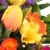 Blumenversand Blumenfee - Blumen online versenden - Blumenstrauss online Frühlings-Faszination