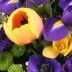 Springtime Premium Blumenfee Spezial - Blumen online versenden mit Blumenfee - dem Blumenversand