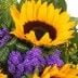 Sonnenblume passend arrangiert mit Statice und Goldrute