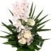 Orchideen-Rispe mit 3 weißen Rosen - online versenden auf www.blumenfee.de