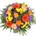 Blumenversand Blumenfee.de – Blumenstrauß Sommer-Faszination  online bestellen und verschicken mit dem schnellen und günstigen Blumenversand