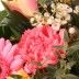 Blumenstrauß Traum in Rosa mit Gratiszugabe Ihrer Wahl – Blumen online deutschlandweit versenden  mit www.blumenfee.de - dem Blumenversand