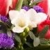 Blumenstrauß Frühlingsbotschaft mit Gratiszugabe Ihrer Wahl – Blumen online deutschlandweit versenden  mit www.blumenfee.de - dem Blumenversand