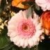 Blumenstrauß Frühlingsboten mit Gratiszugabe Ihrer Wahl – Blumen online deutschlandweit versenden  mit www.blumenfee.de - dem Blumenversand