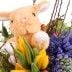 Kuschel-Hase in mitten von  Tulpen und Hyazinthen - süßer geht es kaum