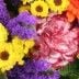 Sommerblumen - Nelken, Chrysanthemen und Statice farbenfroh kombiniert