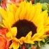 Sonnenblumen im Mohn-Special Blumenstrauss online verschicken