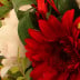 Pfingstrosen Blumenstrauß Premium - Zoom Ansicht Pfingstrosen  und Gerbera